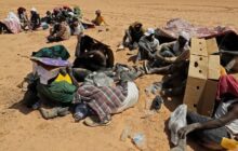 Growing humanitarian crisis in Libya