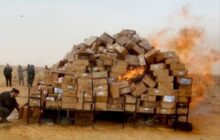 Libya Security Highlights (26 - 31 January, 2026)