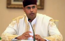 Libya Security Highlights (01 - 08 February, 2026)